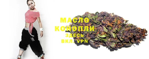 сатива Щигры