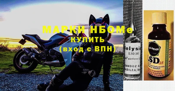 сатива Щигры