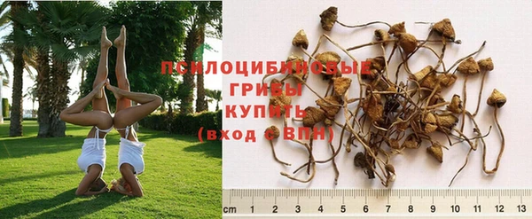 эйфоретик Краснослободск