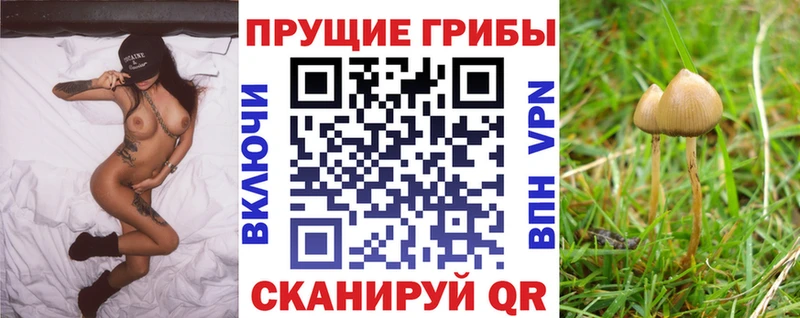 Купить закладки  Лесной  Галлюциногенные грибы MAGIC MUSHROOMS 